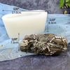 Stereoscopic Dinosaur Fossils Silica Gel Mold Make Scented Figure Candles Wax Table Ornament Soap Pendant Bachelor Party