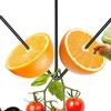 Oriole Bird Feeder Outdoor Hanging Orange Fruit Food Holder with Hook Weather-proof Outside Garden Metal Hummingbird Feeding Device
