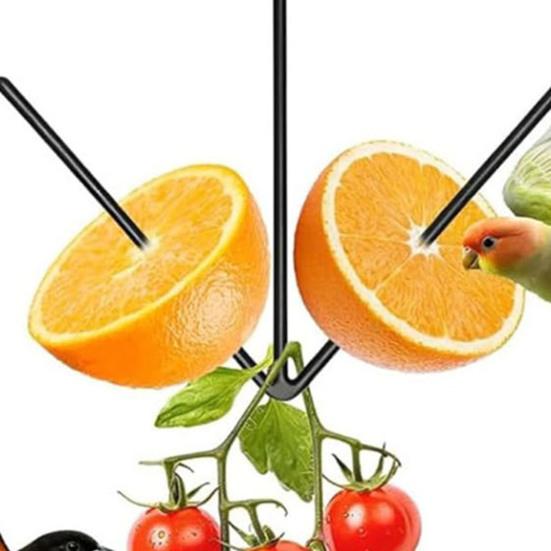 Oriole Bird Feeder Outdoor Hanging Orange Fruit Food Holder with Hook Weather-proof Outside Garden Metal Hummingbird Feeding Device