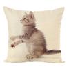 Cute Throw Pillow Case Cushion Fahion Bed  Cover