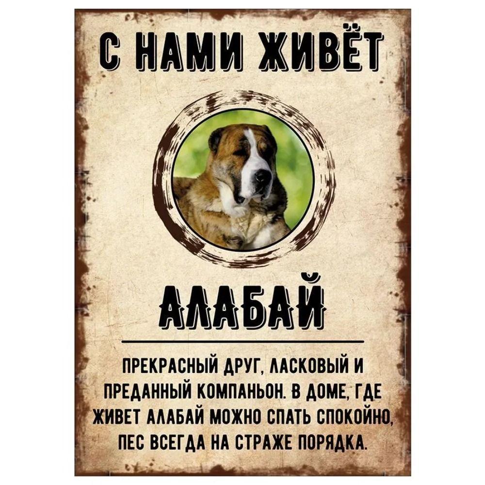 Schild, dekorativ, GEFAHR HUND, Schnauzer lebt bei uns, 20x30cm