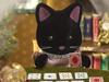 Sylvanian Families Dolls Sky Cat ST Mark Certified Toy Dollhouse for Ages 3 and Sylvanian Families by Epoch [Starry Family] FS-38 Up,
