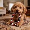 Puppy Harness Four-Point Adjustable Breathable Mesh Vest Style Chest Back Harness Body Shape Fitting Harness