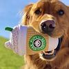 Kau- und Quietschspielzeug für Hunde Haustiere Hunde und Katzen Plüsch Kaffeetassen Langlebiges Interaktives Haustier Zahnpflege Spielzeug Hunde Zubehör