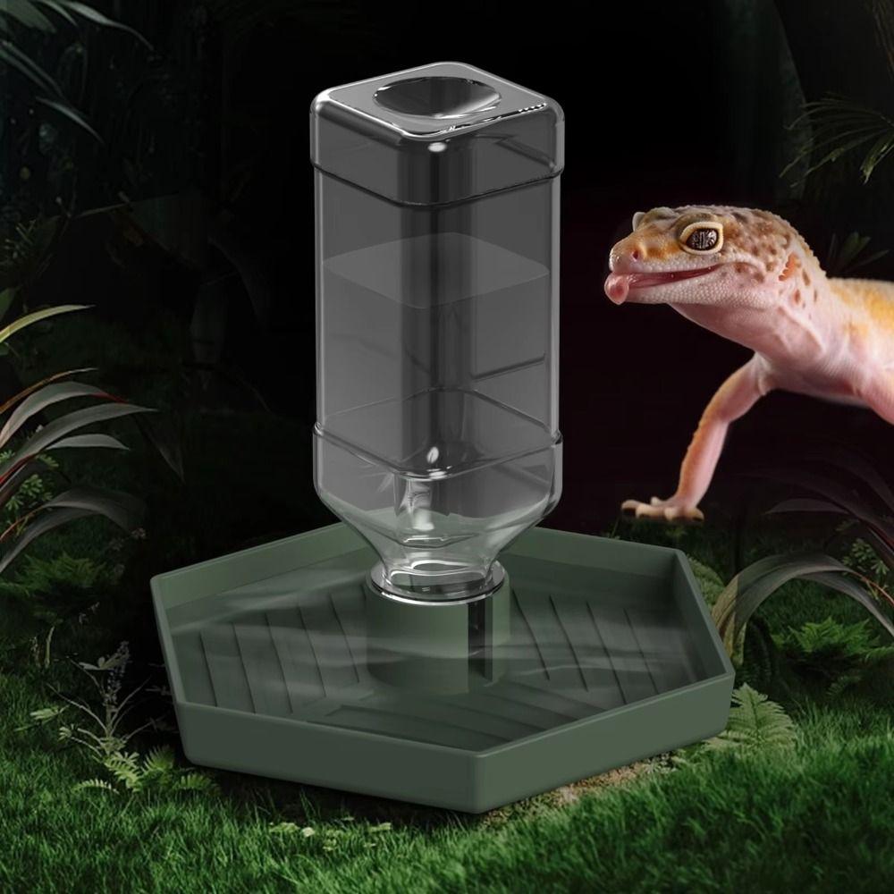 Stable Turtle Water Bowl Anti-slip Automatic Water Dispenser Lizard Food Feeder  for Amphibians