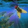 20Pcs Fly Fishing Spinner Baits Lures Fly Fishing Baits Trout Jigs Swimbaits Fly Hook Soft Baits Easy to Use