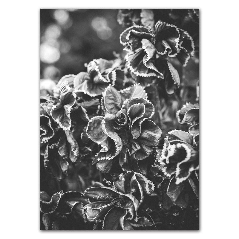 Holding Hands Couple Art Prints Poster Black White Seaside Scenery Picture Beautiful Dandelion Flower Wall Decor HD0117