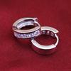 Fashion Men's Silver Plated Small Round Square Rhinestone Hoop Huggie Earrings