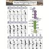 In-Stock Flute Fingering & Chord Practice Chart