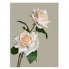 Real Touch Rose Artificial Flower Multicolor Lifelike Rose Flower Faux Flower  Home Decoration