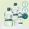 Set de toner/loțiune calmant Pine pentru bărbați (+ Demachiant 40 ml)