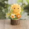 Hand-woven Crochet Flowers Potted Artificial Flower Table Decor Wedding Gift Photography Props Kintted Plant