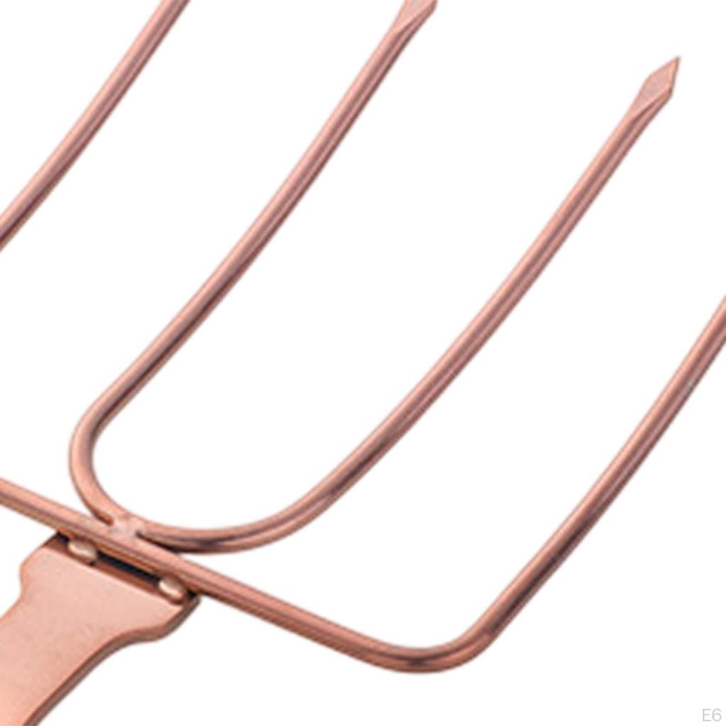 Stainless Steel Turkey Fork, Steak Grill Fork Space Saving Professional,Poultry Lifter