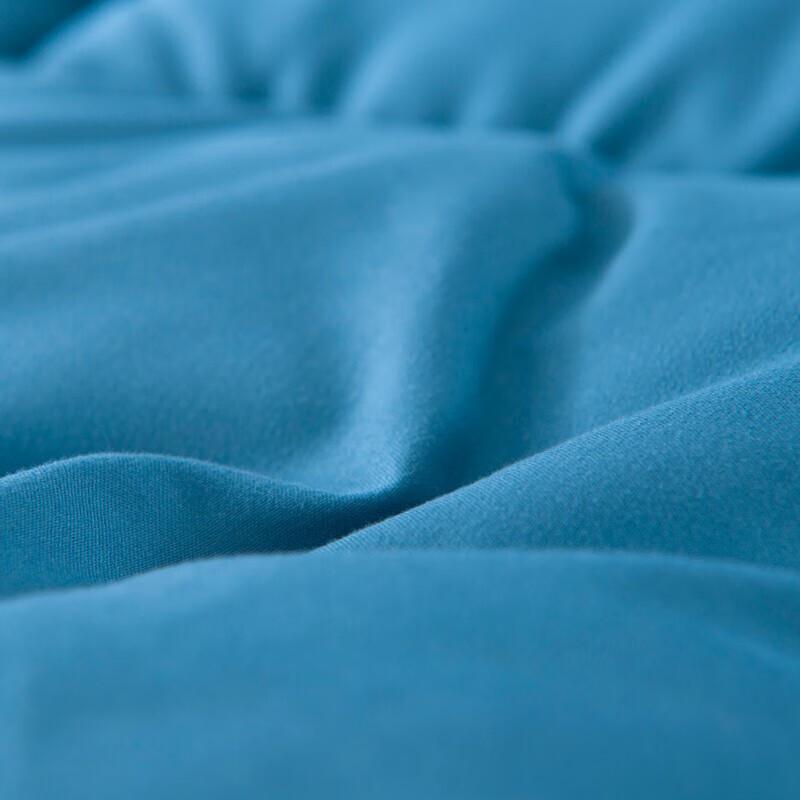 Premium White Goose Down Comforter