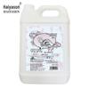 Haiyason TK-7013 5L Foam Antibacterial Hand Soap