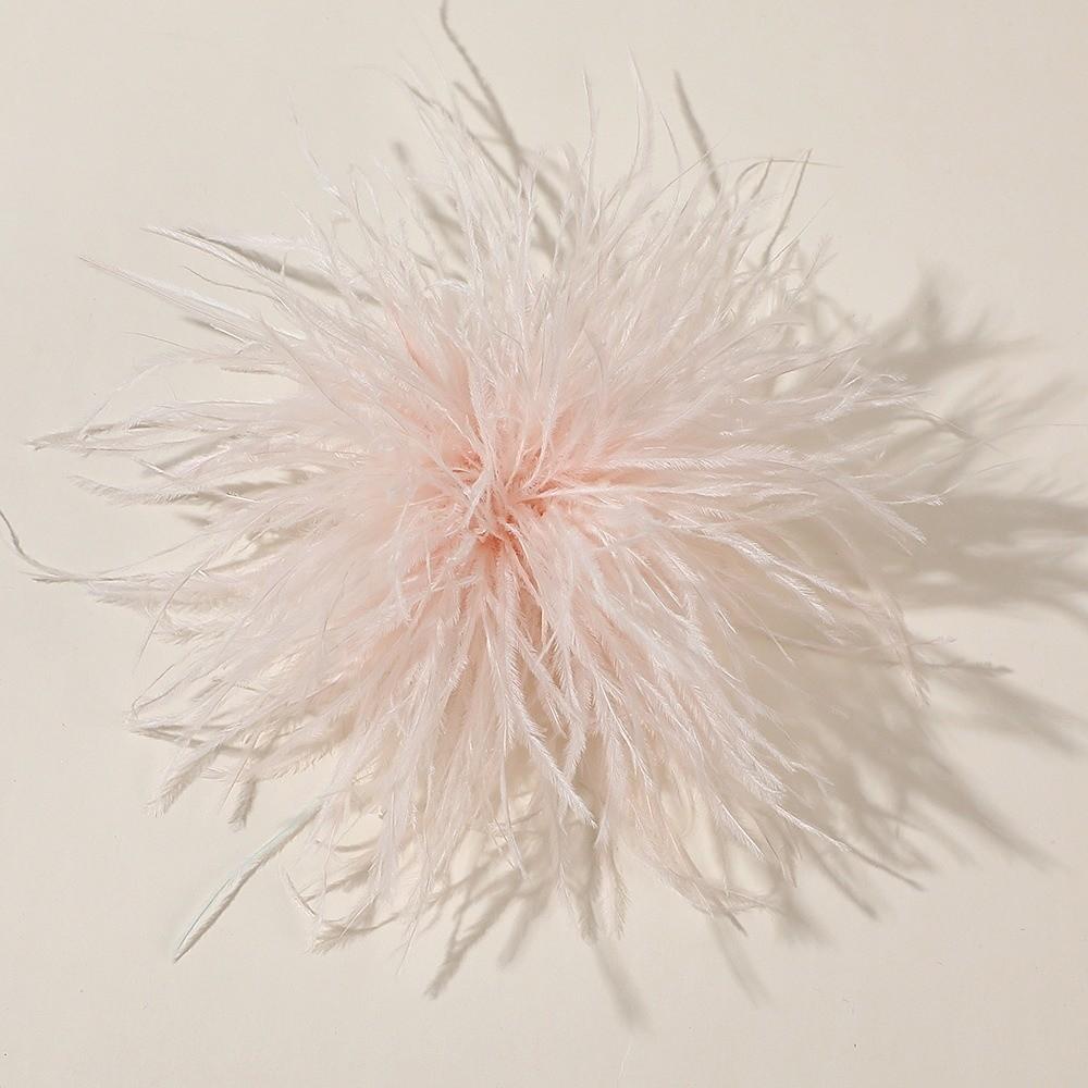 Broches à Plumes Grandes 8-10cm Design Exagéré Broche à Plumes Accessoires Accessoires pour Cheveux
