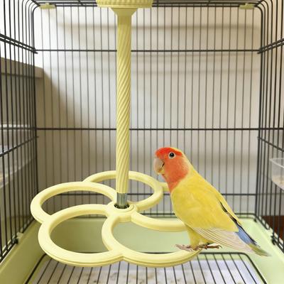 360-degree Rotating Bird Perch Stand Toy 3D Printed Interactive Exercise Wheel Spinning Parrot Toy for Parakeets Budgies Lovebirds Finch Conures Cage
