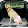 Leak-Proof Dog Physiological Pants Elastic Waist Dog Sanitary Panties  Pet Incontinence