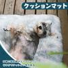 ULIGOTA Pet Cushion for Dogs and Pet Bed Warm and Cold Weather Cage Indoor Autumn and Medium White Cats, Fluffy, Non-Slip Mat, Protection, Cushion,