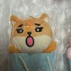 DAY6 Japan Bag Charm K Decade MD Denimals