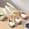 Stainless Steel Kids Spoon With Mirror Finish For Home Use Perfect For Children Meals