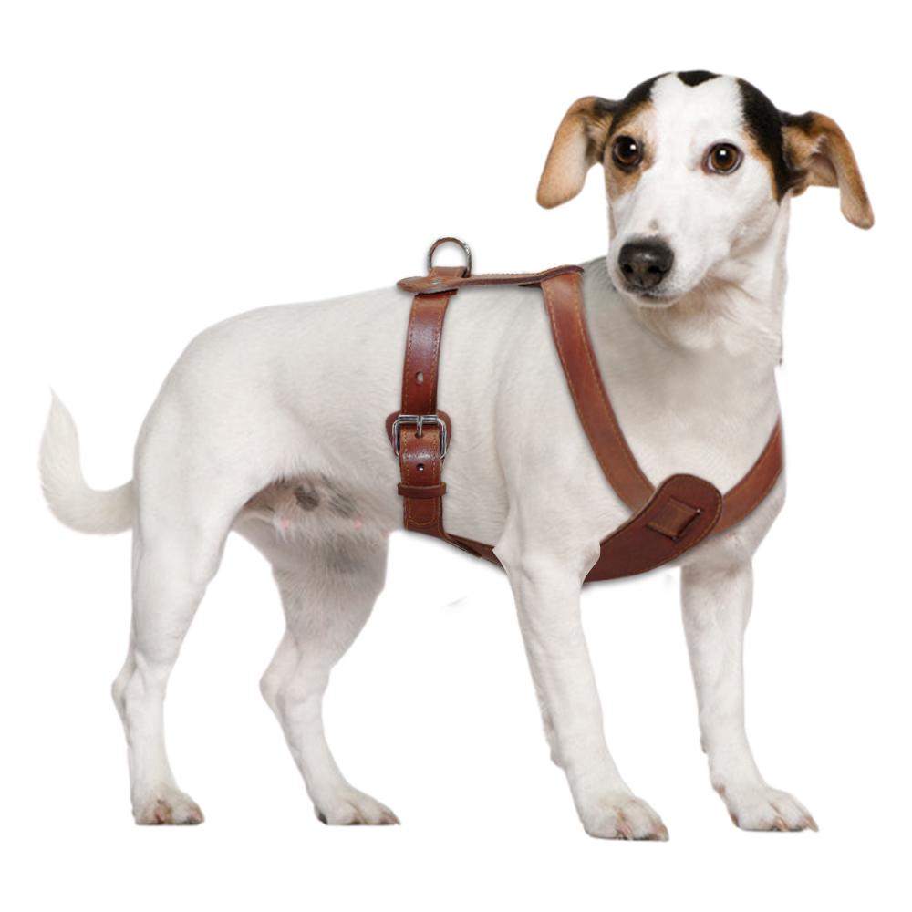 Echtes Leder Hundegeschirr Braun Echtes Leder Hunde Lauf-Trainingsweste Verstellbare Riemen Mittel Groß Pitbull Boxer Mastiff