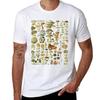 Mushroom Varieties For Fungi Mushroom Hunters Tshirt Casual Basic Street Style Tshirt