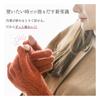 Milieu Smartphone Wool with Fingerprint Made In Smartphone Light Gray Gloves, 100% Authentication, Japan, Compatible,
