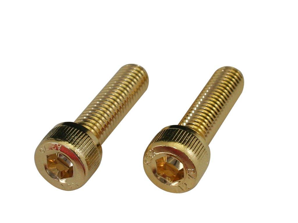 

POSH 810650-030 Stainless Steel Cap Bolts, 24K Plated Stainless Steel Cap Bolts, M8X30, Pack of 2 M8 x 30