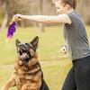 Durable Nylon Animal Shape Chew Toy for Medium Large Dogs Aggressive Chewers Exercise and Teething Play