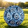 Brighton & Hove Albion FootballPrinted Size 5 Soccer Blbion Football, Anti Slip Adult Match Football Souvenir for Football Fans
