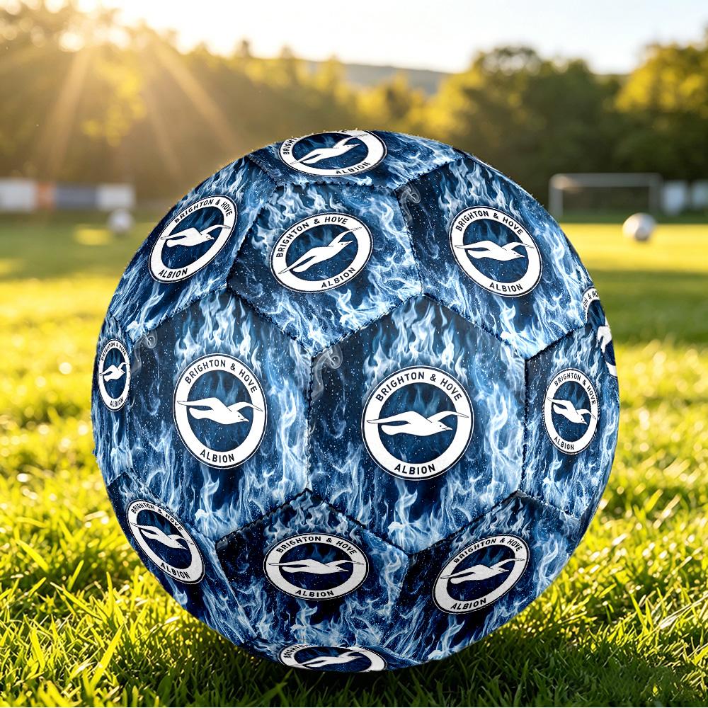 Brighton & Hove Albion FootballPrinted Size 5 Soccer Blbion Football, Anti Slip Adult Match Football Souvenir for Football Fans