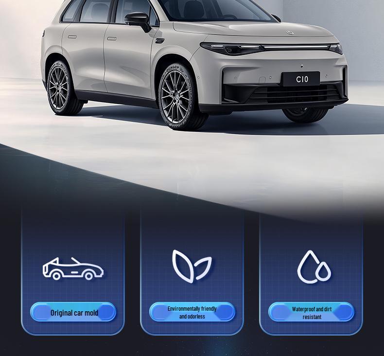 Leapmotor C10 TPE2026 Floor Mats - Complete Set for New Car Interior