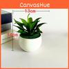 Fake Sinocrassula Indica Plant Pot With Pvc Material For Home Decor And Photography Props