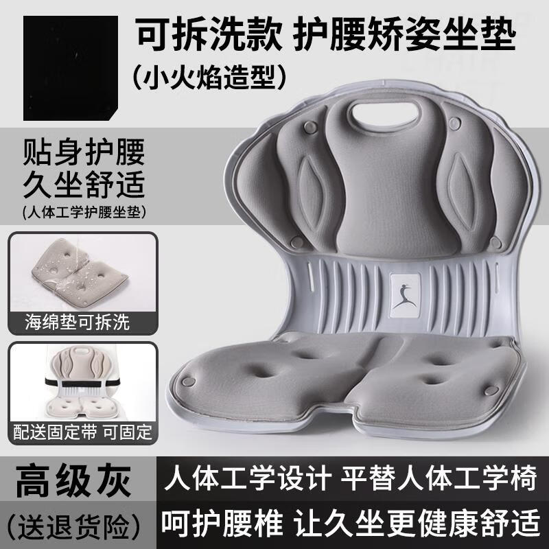 Aige Lumbar Support Cushion