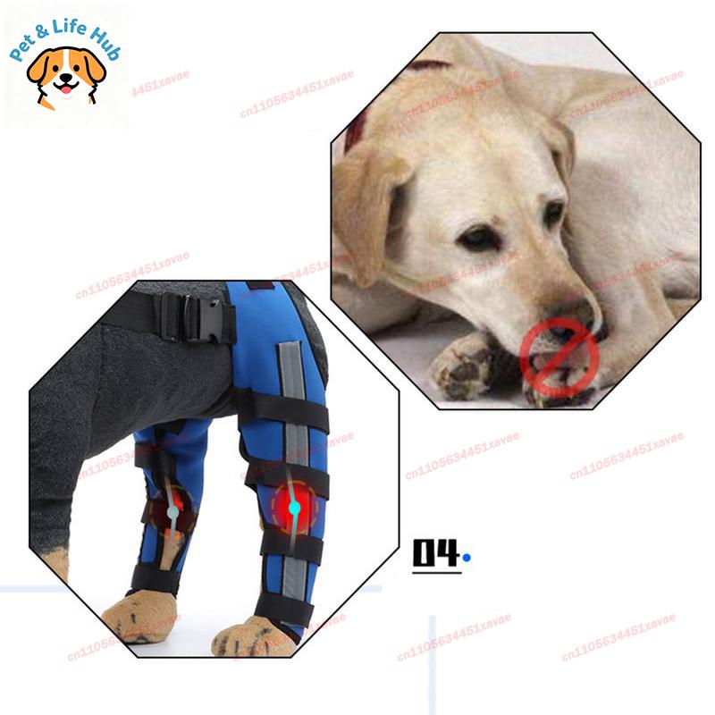 Tutori per Zampe Posteriori del Cane Ginocchiera Ortopedica Regolabile per Articolazioni Protezione Ferite Attrezzatura per il Recupero per Cani Piccoli e Medi