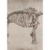 Classic Retro Mysterious Fossil Skeleton Dinosaur Art Poster Canvas Print Wall Art Pictures Living Room Bedroom Home Decoration
