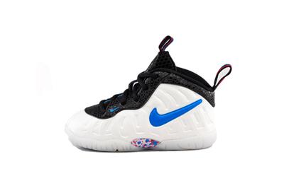 Air Foamposite Pro 3D TD 843769-102