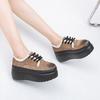Winter Plush Thick-soled Muffin Shoes 2025 New Women's Cotton Shoes Polished Lace-up Versatile Fluffy Shoes Retro Trend