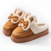 Cotton Slippers Thick-soled Cartoon Autumn and Winter Indoor Home Warm and Piled High-heeled Wool Slippers