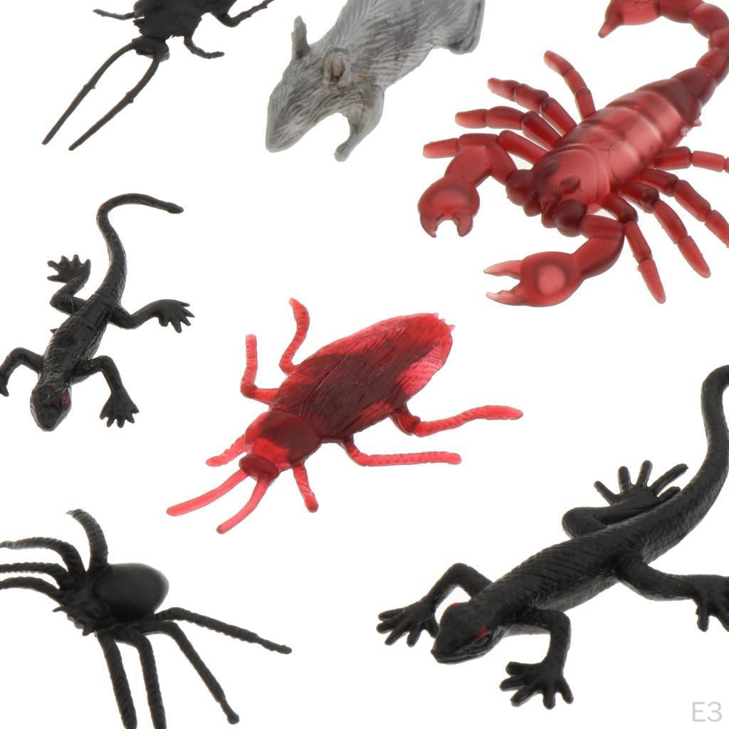 Animal Numbers Learning Help Halloween Birthday