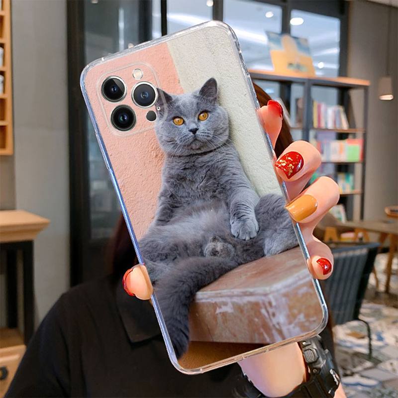 Britská krátkosrstá kočka Pouzdro na telefon pro iPhone 14 13 12 11 Pro Max XS X XR SE 2020 6 7 8 Plus Mini průhledné pouzdro