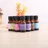 Aroma Essential Oil 10ml for Diffuser, Oil Lamp, Furnace & Humidifier – Water-Soluble