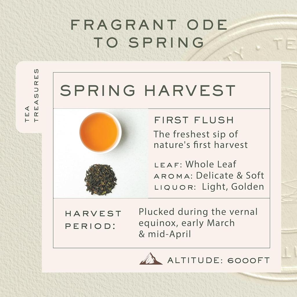 Makaibari Frühjahrsblüte | 25 Teebeutel | 50 g | Darjeeling First Flush Schwarzer Tee | Teeschatz