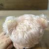[USED] Teddy Bear Artist Bear Teddy Bear Museum Artist