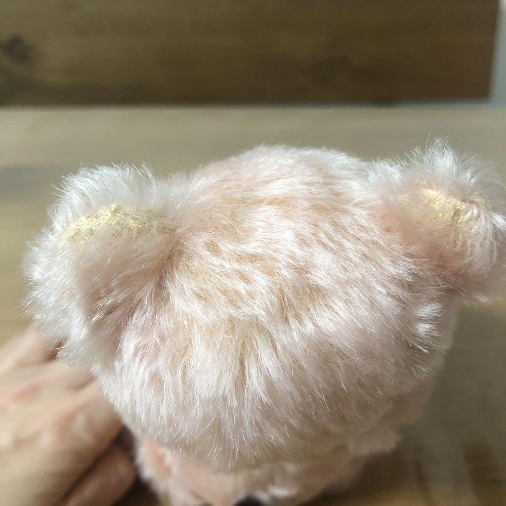 [USED] Teddy Bear Artist Bear Teddy Bear Museum Artist