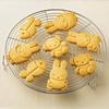 Skater Stamp Cookie Mold Bread Cutter Miffy Set of 4 CSM1-A