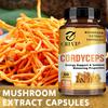 Cordyceps-Extrakt Pilzkapseln, hohe Konzentration an Cordyceps-Essenz, sanft und leicht absorbierbar, für Erwachsene geeignet.