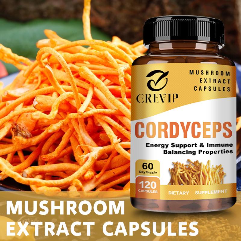 Cordyceps-Extrakt Pilzkapseln, hohe Konzentration an Cordyceps-Essenz, sanft und leicht absorbierbar, für Erwachsene geeignet.