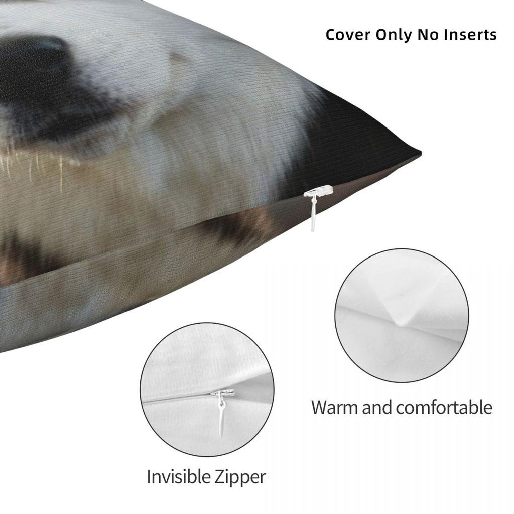 Federa Quadrata Siberian Husky Poliestere Lino Velluto Fantasia Zip Federa Decorativa Copricuscino per Stanza